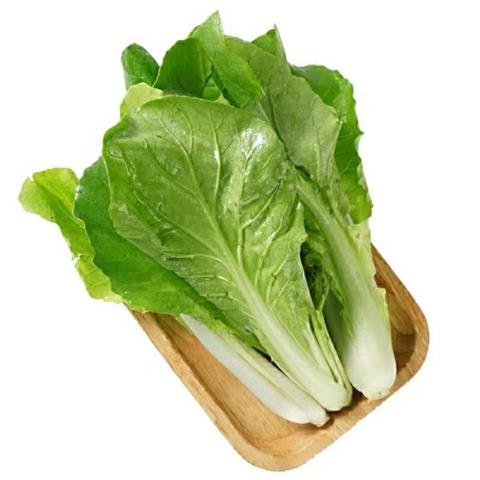 小黄白