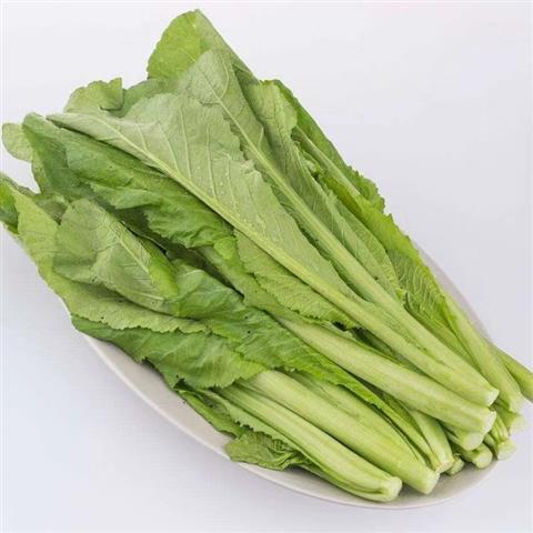 春菜